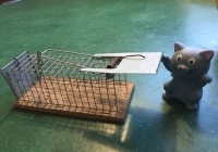 Eine Maus aus Plastik neben einer Mausefalle.