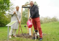 Eine Frau und ein Mann pflanzen einen Baum
