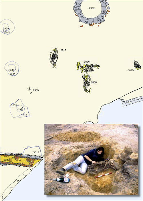 Foto: Ausgrabungen in einer Abfallgrube