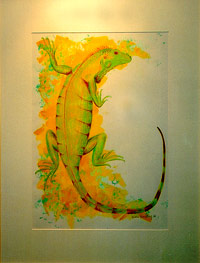 "Gr&uuml;ner Leguan"