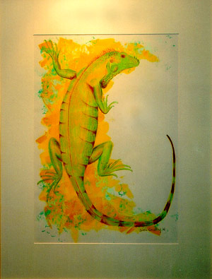 "Gr&uuml;ner Leguan"