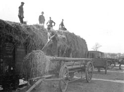 Arbeitseinsatz von Franzosen in der Landwirtschaft in Havixbeck